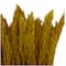 Dried Plant Pampas Natural Foliage with Long Stems